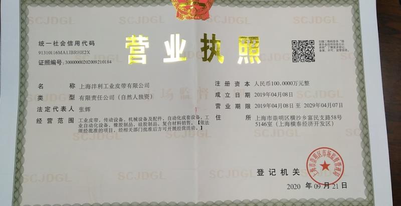沛显传动系统(上海)有限公司