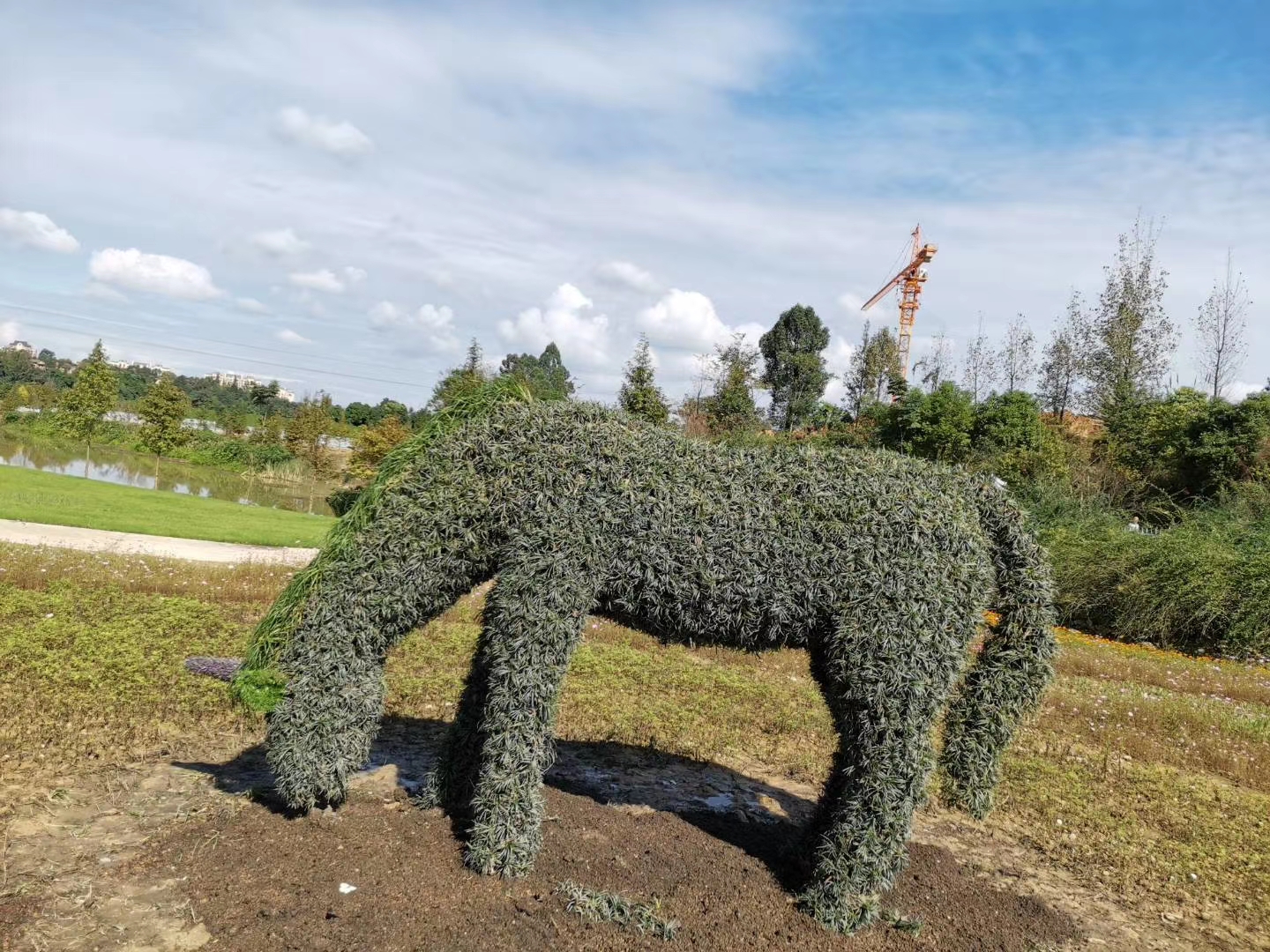 节庆绿雕造型 节庆主题绿雕 植物雕塑造型