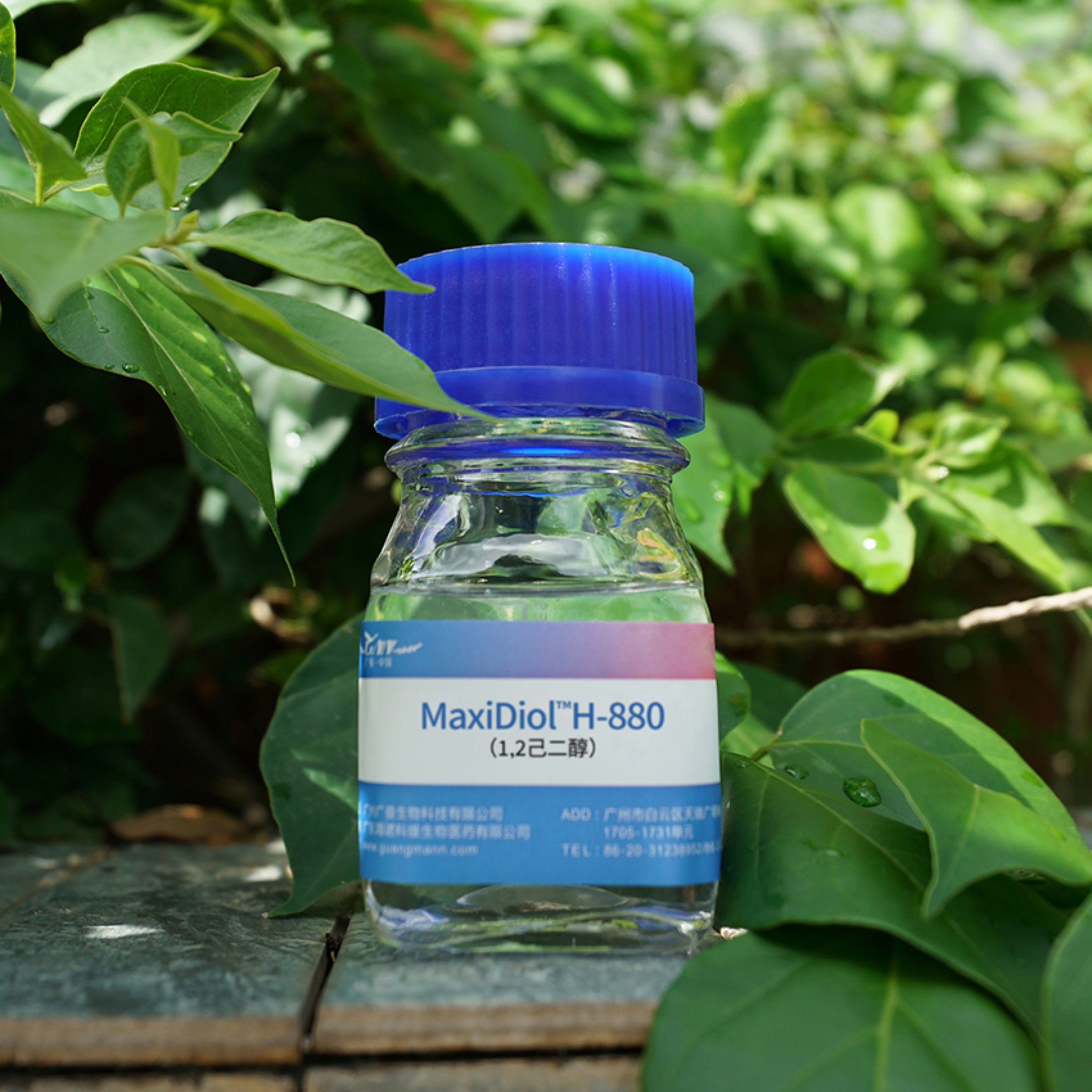 MaxiDiol™H-880 多功能替代型防腐剂