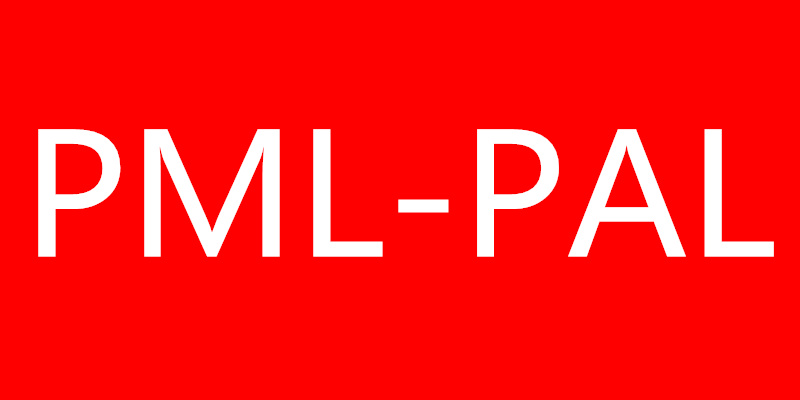 PML-PAL卡盘2隔膜卡盘