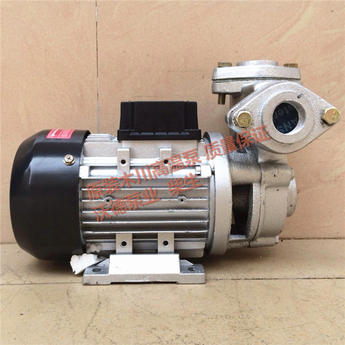 TS-71泵高温200度热油泵 导热油专用泵