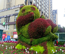 长期供应植物雕塑 市政工程绿雕造型 四川生产绿雕的厂家