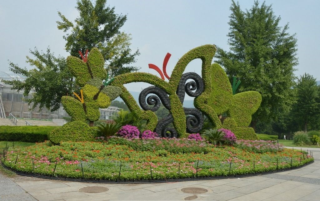 蝴蝶绿雕造型，美丽的绿雕造型，生态绿雕主题