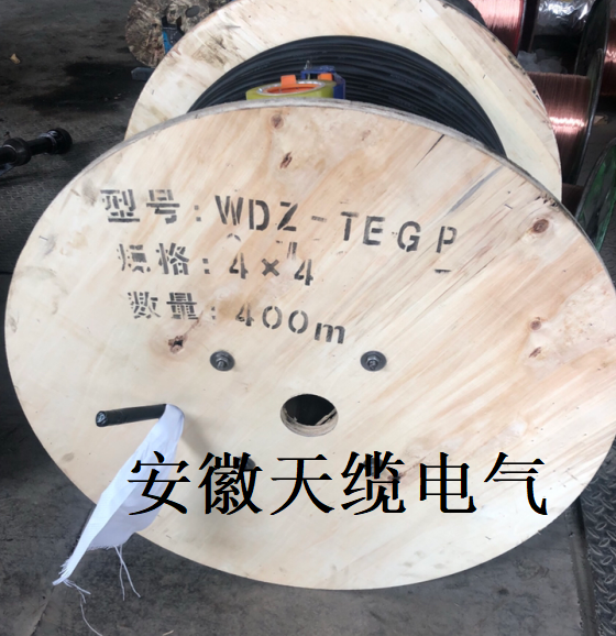 发电机转子高绝缘电缆WDZ-TEGP硅橡胶电缆,安徽天缆