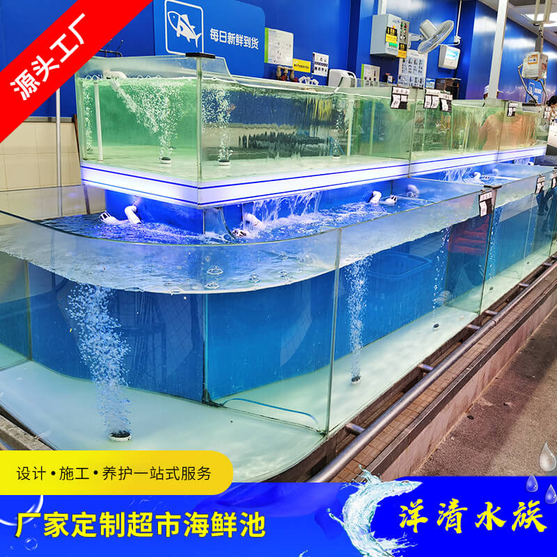 广州海鲜酒楼海鲜池定做 洋清水族海鲜池订做厂家