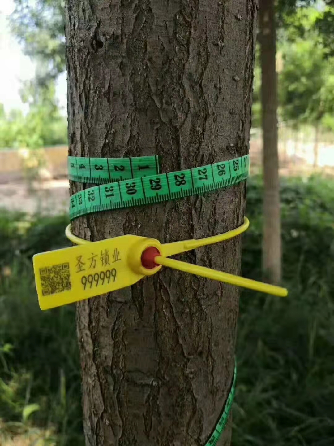 方形带齿塑料封条树锁号树牌