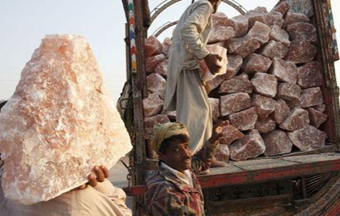 巴基斯坦岩盐进口报关需要资料，天津报关公司