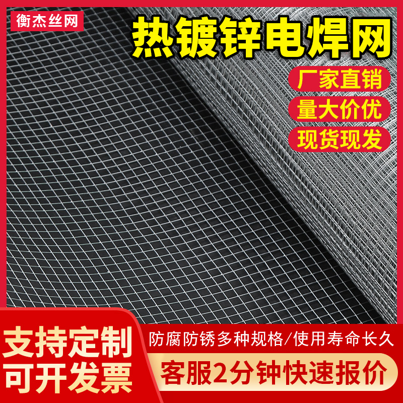 电焊网厂家批发粉墙铁丝网 建筑电焊网镀锌家禽养殖网规格齐全