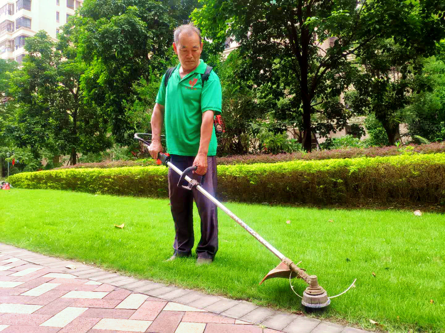 广州绿化养护服务就找广东怡轩园林