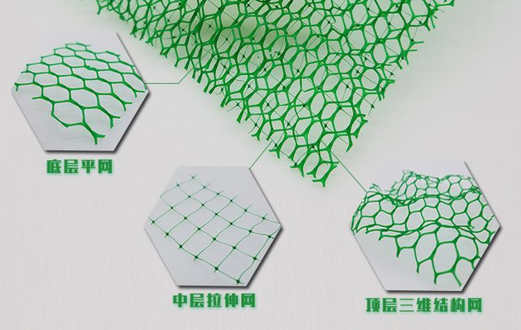 EM4三维植被网生产厂家供应产品