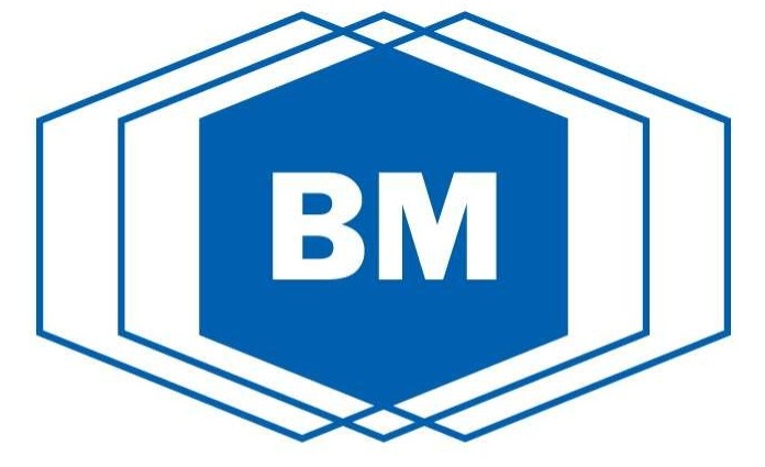 意大利BM键槽拉刀|意大利BM旋转拉刀|BM冲头|BM拉钉2